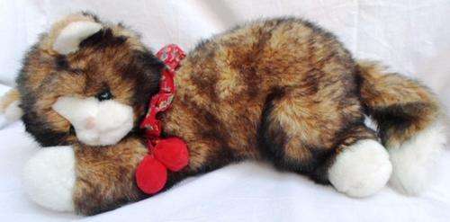 A BIG FAT BEAUTIFUL CAT - SOFT AND FLUFFY AND GORGEOUS!!