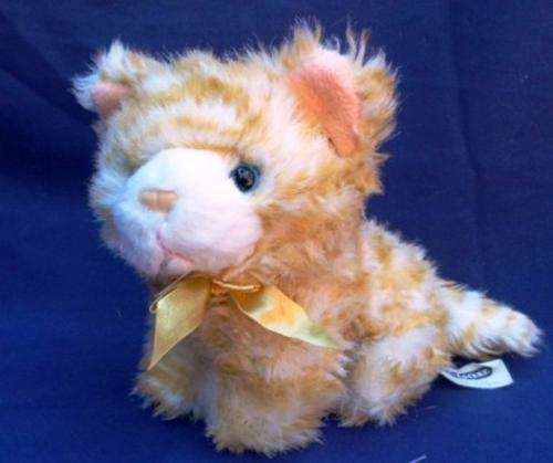 A SWEET CHAD VALLEY CAT!!