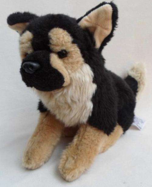 A STUNNING 'ANNA CLUS', NETHERLANDS DOG - SO SPECIAL!!