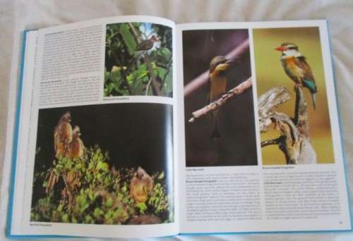 EVERYONE`S GUIDE TO SOUTH AFRICAN BIRDS - HARD COVER WITH DUST COVER BY JOHN SINCLAIR &  MENDELSOHN