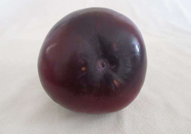 VINTAGE SOUTH AMERICAN YERBA MATE GOURD AND BOMBILLA PLUS A BAG OF YERBA MATE TEA!