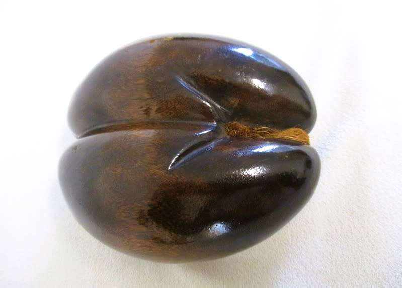 Sought after natural art - vintage polished Coco De Mer (Lodicea) - remarkable female form