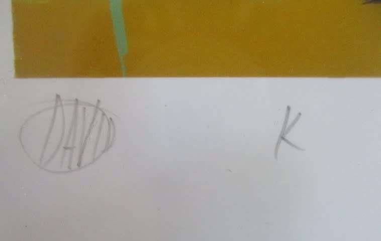 1. Limited edition framed, signed and numbered print (33/70) by  David Kuijers. Value R1500-R2000