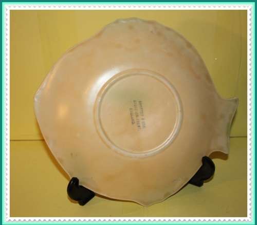 SHORTER AND SON STOKE ON TRENT FISH PLATE MEDIUM   FUN ITEM