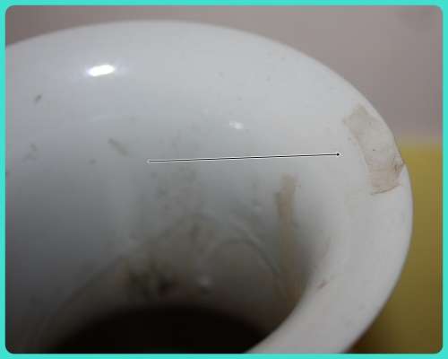 LARGE ORIENTAL VASE WITH BIRD AND FLOWER DETAILS VERY PRETTY (D)