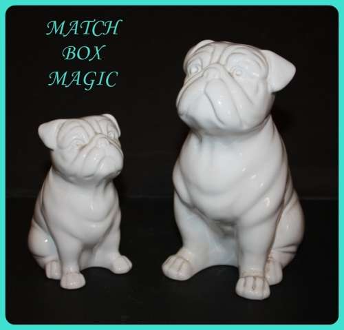 PAIR OF BRITISH BULLDOGS MOM AND PUP TO LOVELY