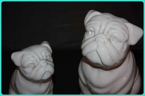 PAIR OF BRITISH BULLDOGS MOM AND PUP TO LOVELY