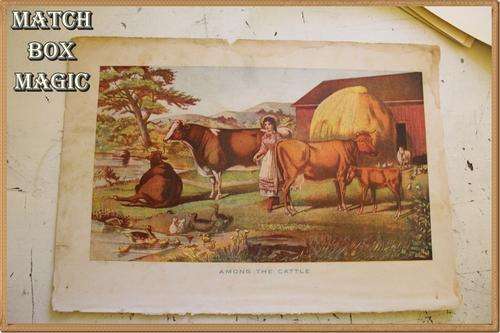 HISTORICAL PRINT  AMONG THE CATTLE