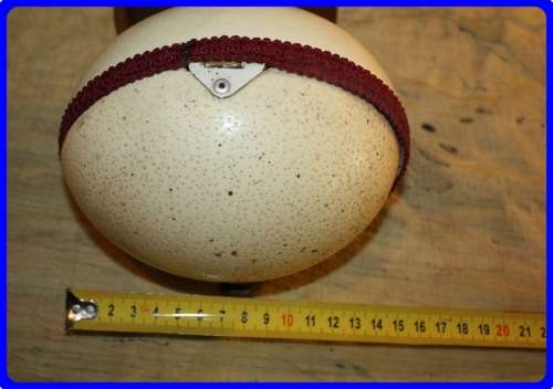 BEAUTIFUL VINTAGE OSTRICH EGG PRESENTATION JEWELRY BOX FULLY LINED