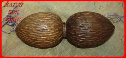 UNUSUAL WOODEN TWO NUT NUTCRACKER FUN AND FUNCTIONAL ITEM