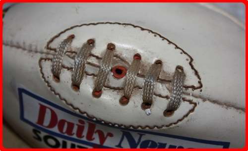DAILY NEWS SOUTH AFRICA 1995 SIGNATURE RUGBY BALL BLANK COLLECTABLE ITEM