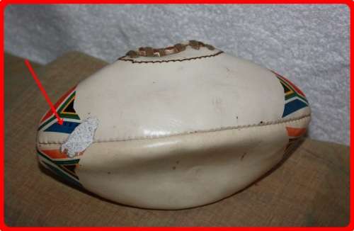 DAILY NEWS SOUTH AFRICA 1995 SIGNATURE RUGBY BALL BLANK COLLECTABLE ITEM