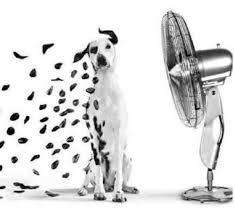 #1 Skin Whitening Glutathione SPF50++ cosmetic soap 70g.Pure Gluta,Vit B3+E+C,rice milk.NO lye.