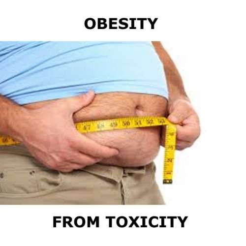 #1 Detox pills NAC (N-Acetyl-Cysteine) 1000 mg 60 capsules. Cleanse Liver,immune system. Anti-aging.