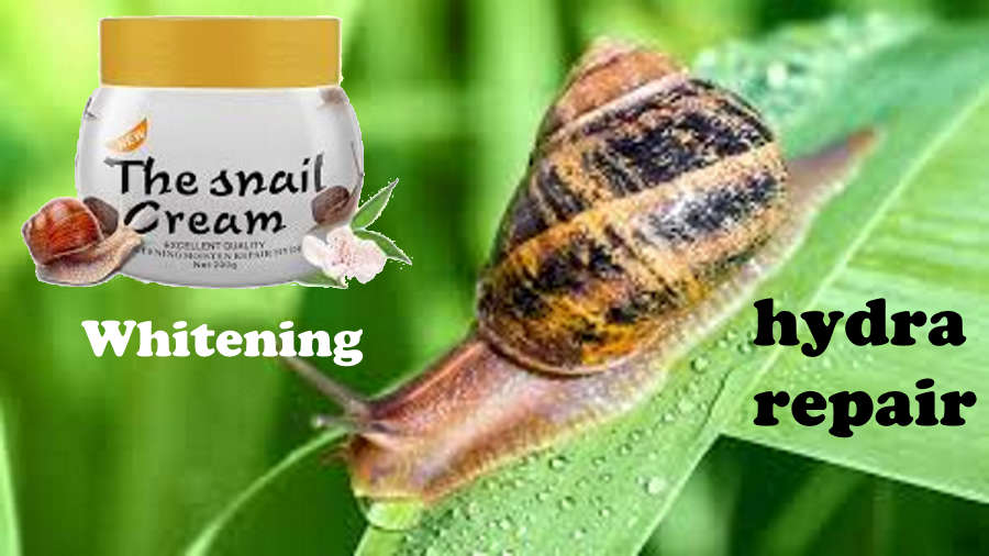 #1 Whitening skin snail cream 200g shea butter, Hydra repeir.Tone skin and refines.Instant absoption