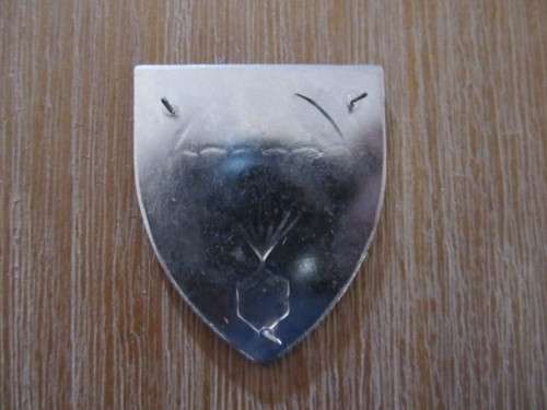 SADF - 101 Air supply shoulder flash - Copy