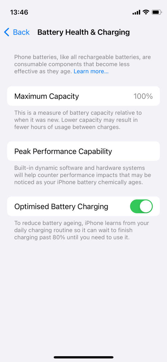 iPhone 12 mini 256GB (100% battery health)