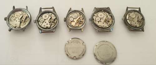 Rotary Job Lot!!  All things Rotary