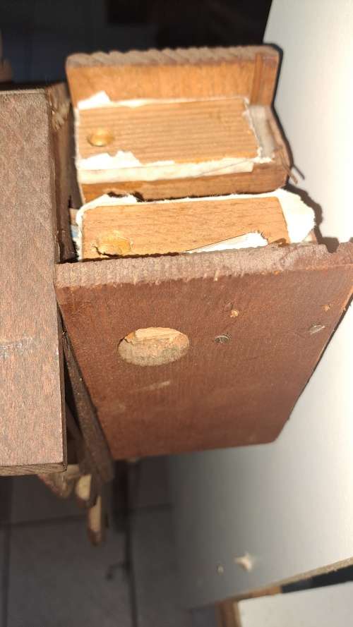 Single chain cuckoo clock ticking