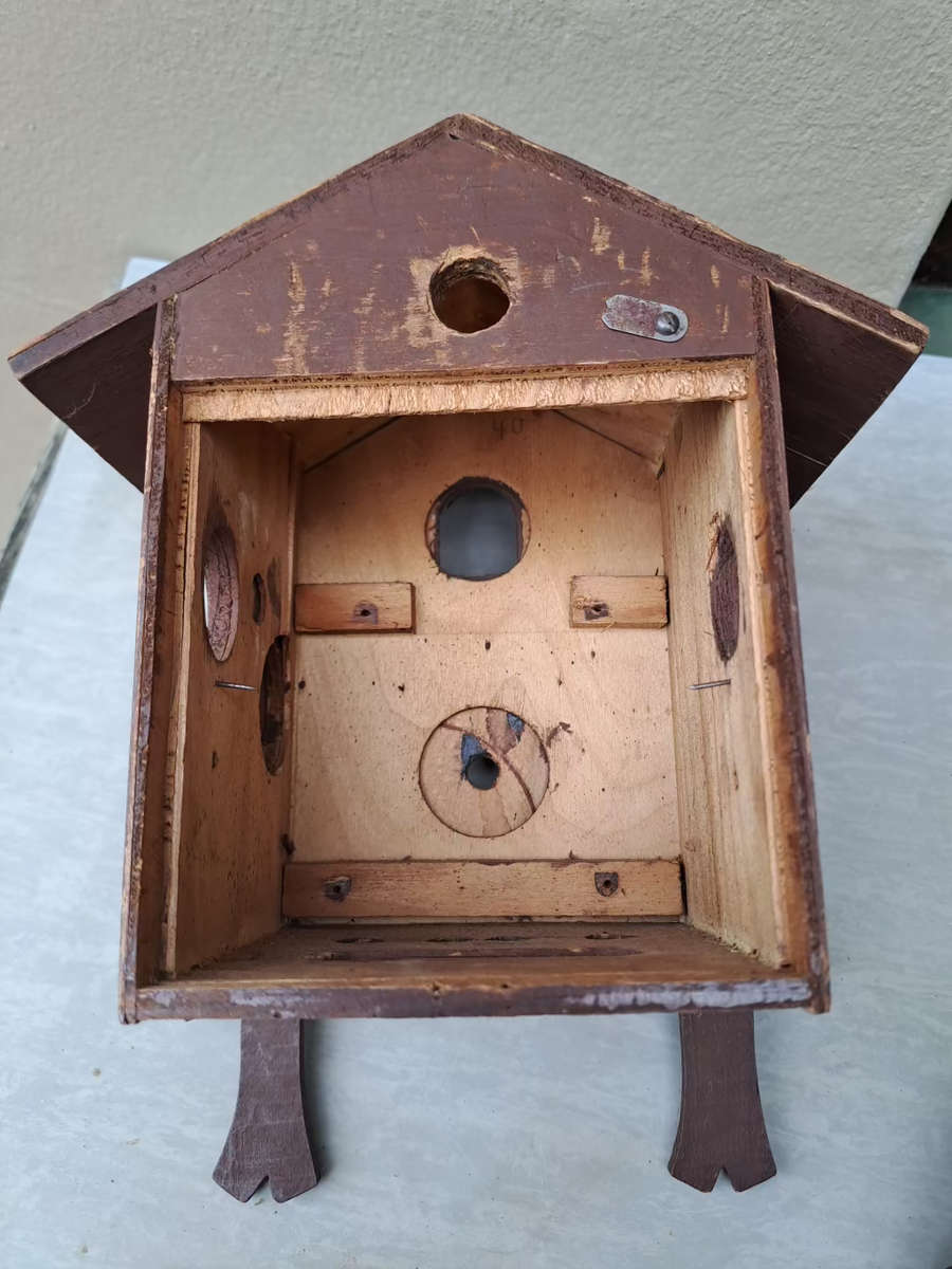 Cuckoo clock restoration project