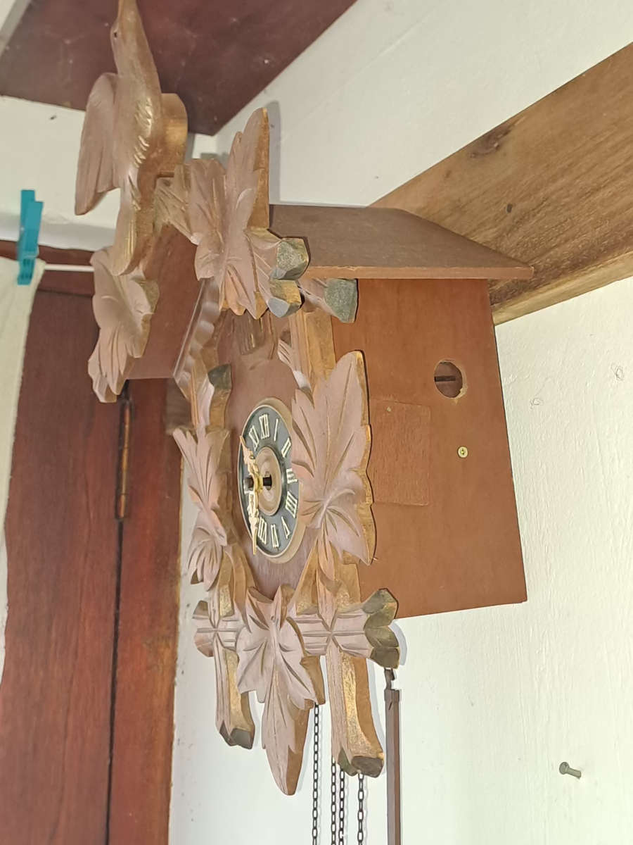 Anton Schneider & sons Germany cuckoo clock working