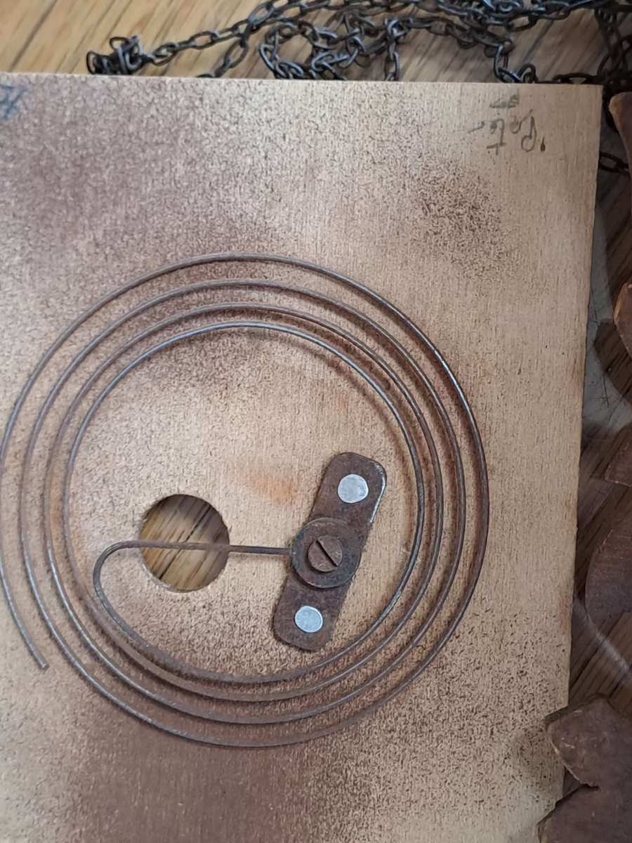 Anton Schneider & sons Germany cuckoo clock working