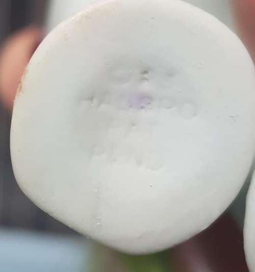 RARE South African G1 My Little Pony Moonstone