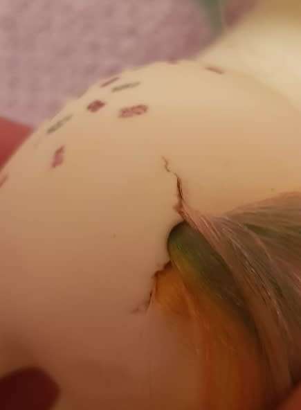 G1 My Little Pony CONFETTI