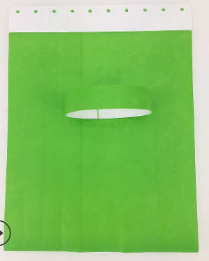 Tyvek Wristband--100 pcs