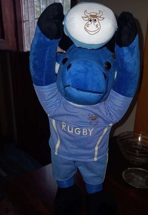 NORTHERN TRANSVAAL(BULLS) RUGBY MEMORABILIA