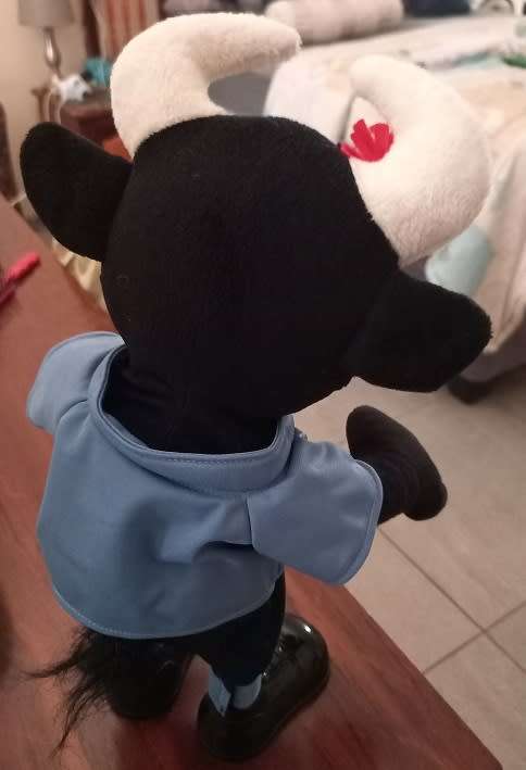 NORTHERN TRANSVAAL(BULLS) RUGBY MEMORABILIA