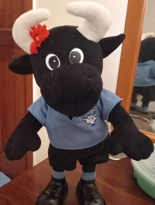 NORTHERN TRANSVAAL(BULLS) RUGBY MEMORABILIA