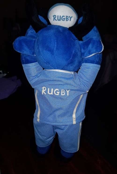 NORTHERN TRANSVAAL(BULLS) RUGBY MEMORABILIA