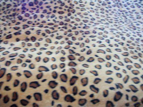 Imported Queen Size Blanket