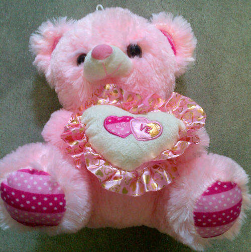 Pink Teddy Bear