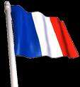 FRANCE FLAG