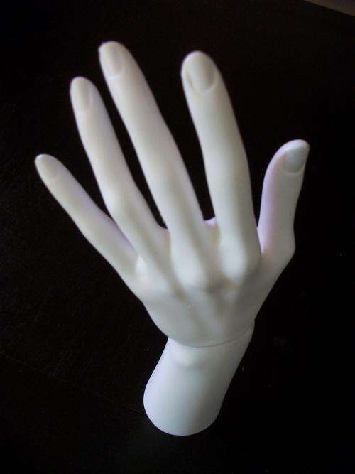 hand mannequin