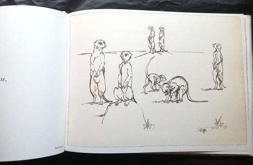 Na die Lewe Geteken - n Portefeulje van Dieretekeninge deur Zakkie Eloff