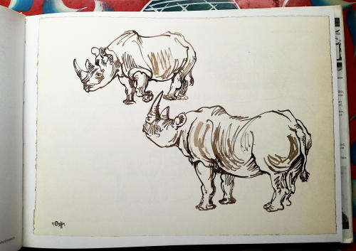 Drawn from Life. A Portfolio of Wildlife Drawings By Zakkie Eloff.