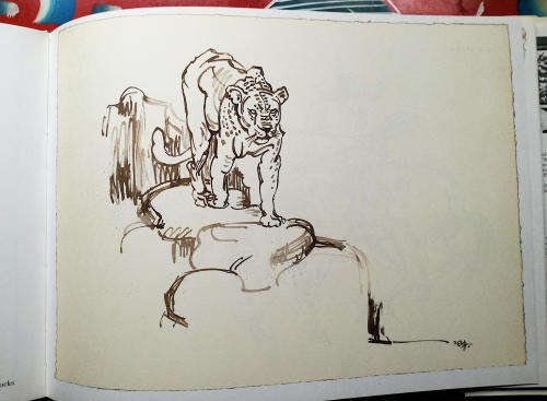 Drawn from Life. A Portfolio of Wildlife Drawings By Zakkie Eloff.