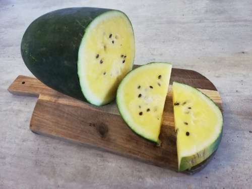 Yellow Watermelon