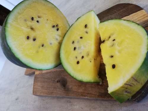 Yellow Watermelon