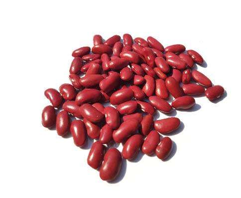 Kidney Dark Red Dry Bush Bean