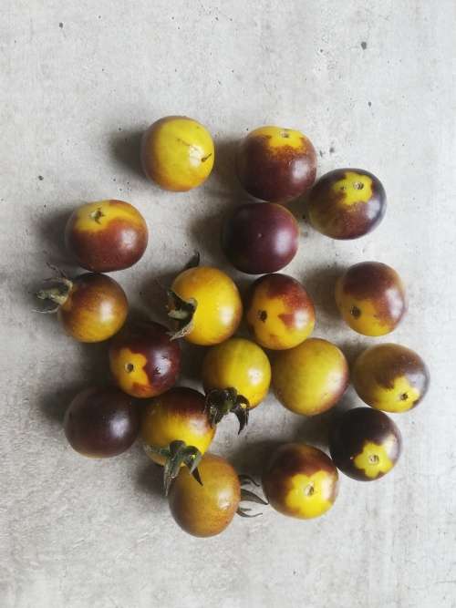 Blue Gold Berries Cherry Tomato