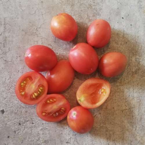 Thai Pink Egg Cherry Tomato