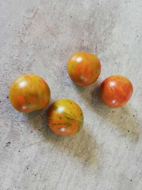 Heirloom Tigerella Tomato Seeds