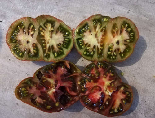 Heirloom Black Brandywine Tomato Seeds
