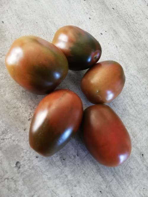 Heirloom Black Russian Plum Cherry Tomato Seeds