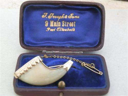 Magnificent antique solid 9 ct gold lion claw brooch with safety chain in box - weight 6.28 g.