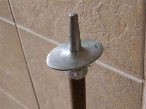 Antique / Vintage Hunting Stick